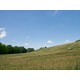 Properties for Sale_COUNTRY HOUSE TO RESTORE FOR SALE IN MARCHE Farmhouse with land in Italy in Le Marche_10